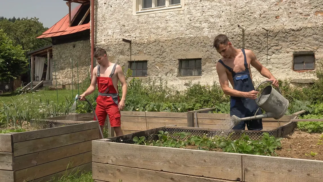 Scene Image 1