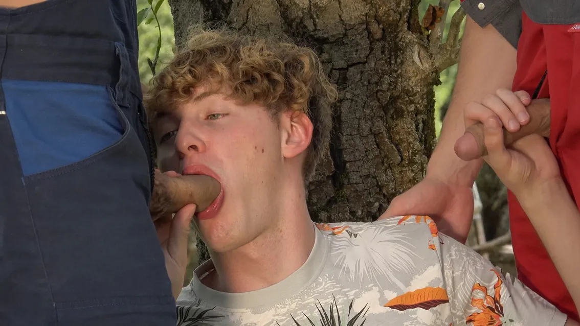 Scene Image 7